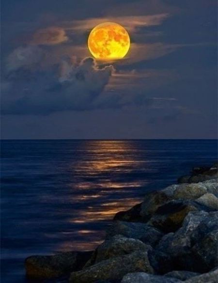 الجمال ليس حبا، ولكن الحب يجعلنا نرى الجمال. تولستوي